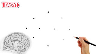 Dots की मदद से Human Brain Diagram drawing // Human Brain Diagram Class 10
