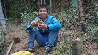 Huanong Brothers: While chopping bamboo, we get some bamboo shoots and fry with cured pork. Tasty!