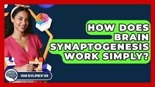 How Does Brain Synaptogenesis Work Simply? - Brain Development Hub