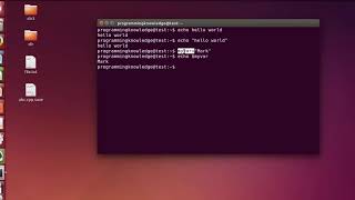 #linux Command Line Tutorial For Beginners 16 #echo command HIGH1