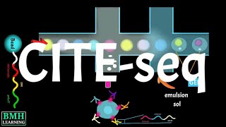 Total-seq Workflow | CITE-seq | Simultaneous Proteomics \u0026 Transcriptomics | Biolegend |