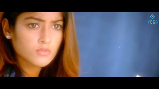 Aata Movie Songs - Hoyna Song - Siddharth, DSP