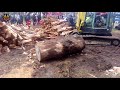 Extreme Fast Automatic Firewood Processing Machine, Wood Cutting Machine Splitting Firewood Amazing