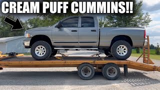 Buying the CLEANEST 1 Owner 5.9L 3rd Gen Cummins!!!