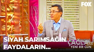 Siyah Sarımsak Nelere Faydalı? - Çağla ile Yeni Bir Gün 424. Bölüm