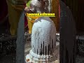 mahakaleshwar jyotirlinga temple mahakal ujjain mp 🚩 mahakaleshwar jyotirlinga shorts