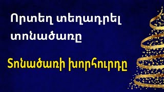 🌲🟡💫 Որ հատվածում պետք է տեղադրել տոնածառը որպեսզի հաջողություն բերի/ Տոնածառի Խորհուրդը 🟡💫🔥