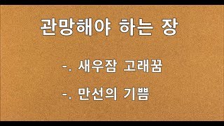 2022 0702 관망해야하는 장, 새우잠 고래꿈, 늘 급한 삶, 만선의 기쁨, 웃고 갑시다, 통항 분리선, 한주간 브리핑, 복기야 놀자 #해외선물 #나스닥 # 항셍 #비트코인