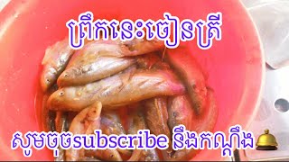 តោះញ៉ាំអាហាពេលព្រឹកជាមួយត្រីចៀន