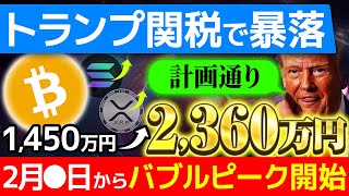 【ETH（イーサリアム）XRP（リップル）BTC（ビットコイン）】暴落の原因はトランプ大統領の戦略！イーロンマスクとアメリカ政府の陰謀を暴露！【仮想通貨】【SHIB（柴犬コイン）】【DOGE】