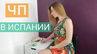 Частный предприниматель в Испании. Налоги, пособие по безработице и пенсия.