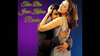 Tum Bin Jaon Kahan |Remix| Dil Vil Pyar Vyar | Hariharan | R.D Burman | R. Madhvan,Namrata Shirodkar