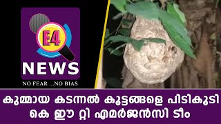 കുമ്മായ കടന്നല്‍ കൂട്ടങ്ങളെ പിടികൂടി കെ ഈ റ്റി എമര്‍ജന്‍സി ടീം