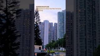 將軍澳街景 新界 香港 Tseung Kwan O Street View New Territories Hong Kong