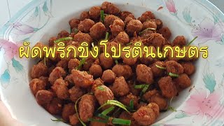 ผัดพริกขิงโปรตีนเกษตร Vegetarian