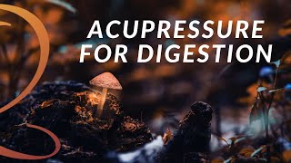 Acupressure for Digestion | Introduction to the Earth Element with Lee Holden