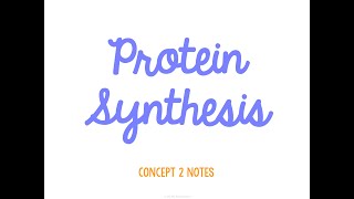Unit 4 Genetics Concept 2 Notes *UPDATED*