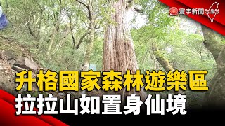 升格國家森林遊樂區！拉拉山千年巨木群如置身仙境｜#寰宇新聞 @globalnewstw