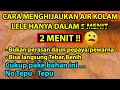 CUMA 2 MENIT MEMBUAT AIR KOLAM LELE BERWARNA HIJAU !!