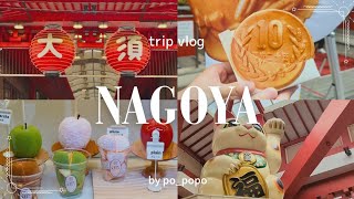 NAGOYA vlog walk in Osu market