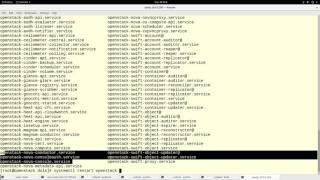 Basic Openstack Administration Part 12 - Changing Openstack Hypervisor Type (virt type)