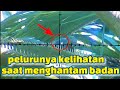 kejadian langka‼️kumpulan slowmotion