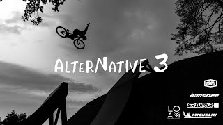 Alternative 3