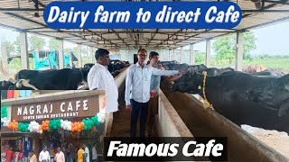 Purely Milk from Dairy farm to Nagraj Cafe | Rajura | maharashtra