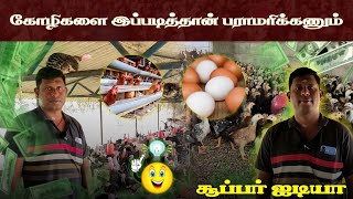 🐓 கோழிகளை இப்படித்தான் பராமரிக்கணும் ❗how chickens should be cared for | தமிழில் | விவசாய பூமி