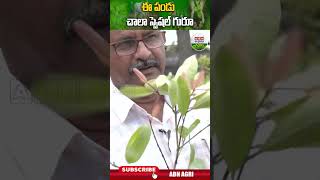 గార్ సీనియ ఇది చాలా స్పెషల్ గురూ |Garcinia -A very special fruit #shortsfeed  - ABN Agri