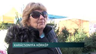 Karácsonyfa árak - Híradó - 2019.12.17.