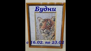 Будни #6 (вышивальные и не только)