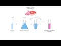 gcse biology food tests practicals 16