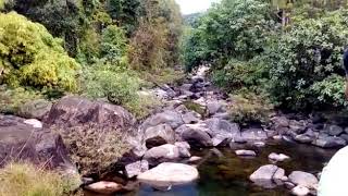 കാട്ടിൽ ലൈവ് ഉരുൾ പൊട്ടി വെള്ളം വരുന്നത് | urul pottal flood water speed