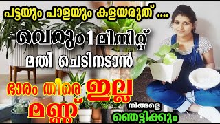 പണ ചിലവില്ലാതെ ചെടികൾ നടാം/പട്ടയും പാളയും ഉണ്ടോ എട്ക്കാൻ/ tricks simple/💯💯