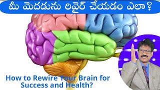 మీ మెదడును రివైర్ చేయడం ఎలా?|How to Rewire Your Brain for Success and Health| Neuroplasticity