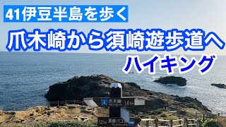 爪木崎から須崎遊歩道をハイキング、そして下田湾の夕日！【伊豆半島を歩く41】南伊豆/Shimoda, Izu, Japan