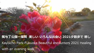 駕与丁公園ー福岡美しいいろんな出会い2021夕散歩で癒しKayoicho Park-Fukuoka Beautiful encounters  Healing with an evening walk