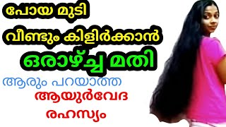 പോയ മുടി ഒരാഴ്ച്ച കൊണ്ട് കിളിർക്കാൻ ആരുംപറയാത്ത ആയുർവേദരഹസ്യം|AyurvedaHair growthSecrets100%working