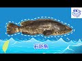 魚你一起吃漢堡！【2023 tsc 第八屆崇越行銷大賞】