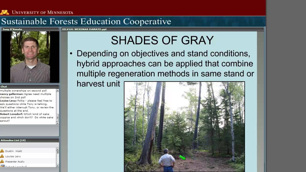 Silviculture 101 Systems And Terminology Youtube