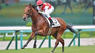 2歳新馬　芝右 外1800m カルロヴェローチェ　Ｃ．ルメール　2022.6.26　　出走馬：チャンスザローゼス、ゴッドファーザー、アンテロース、ドゥラエレーデ、デルマソトガケ、オータムクイーン他