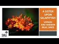 A Sister Upon Salafiyyah - Abu Hakeem Bilal Davis