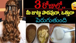 3 రోజుల్లో మీ జుట్టు పొడవుగా ఒత్తుగా పెరుగుతుంది | fenugreek seeds and amla Uses For Hair Growth