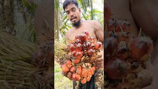 পাম ফলের বীজ গুলো কেমন হয় দেখুন। #viralshort#shortvideo#palmgarden#workingtime#malaysia#