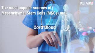 Sources of Mesenchymal Stem Cells | KINTARO Cells