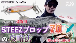 長谷川耕司×遠賀川 陸っぱりで魅せる！STEEZプロップ70の攻略｜Ultimate BASS by DAIWA Vol.414