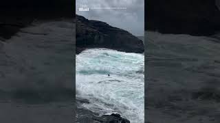 Daredevil diver jumps into stormy seas