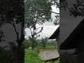 KAMPUNG POJOK ADEM ME POLL