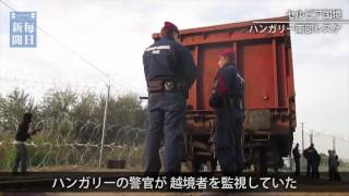 ハンガリーが国境封鎖　難民流入路を貨車で